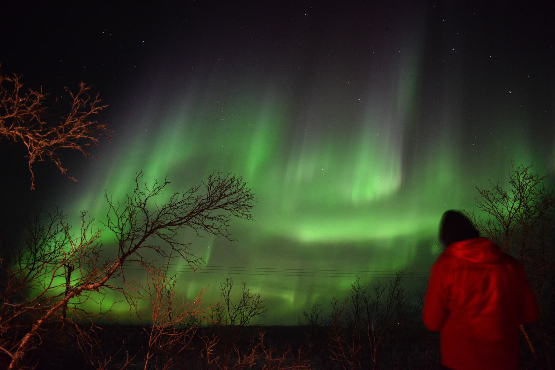 Aurora over snowy Abisko landscape